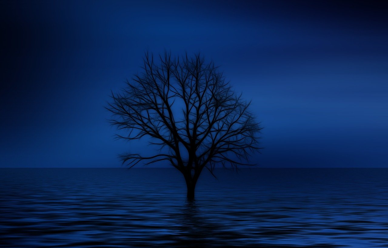 tree, bald, psychology, lonliness, isolation, sadness, nature, dream, imagination, sad, lake, sea, waves, seem, light, reflection, tristess, ocean, the atmosphere, silence, psychology, psychology, psychology, sadness, sad, sad, sad, sad, sad