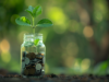 Криптовалютные ETF — стоит ли в них инвестировать? seedling, investment, coins, jar, glass, currency, invest smart, money, finance, profit, wealth, financial, savings, benefit, value, deposit, nature, green background, decision, bokeh